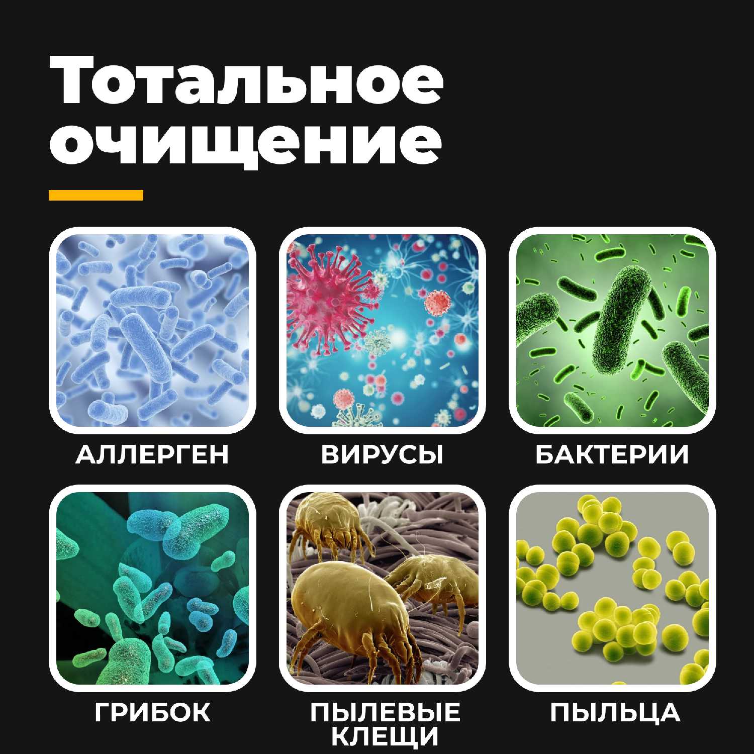 Очиститель/увлажнитель воздуха Futula H4S фотография 5