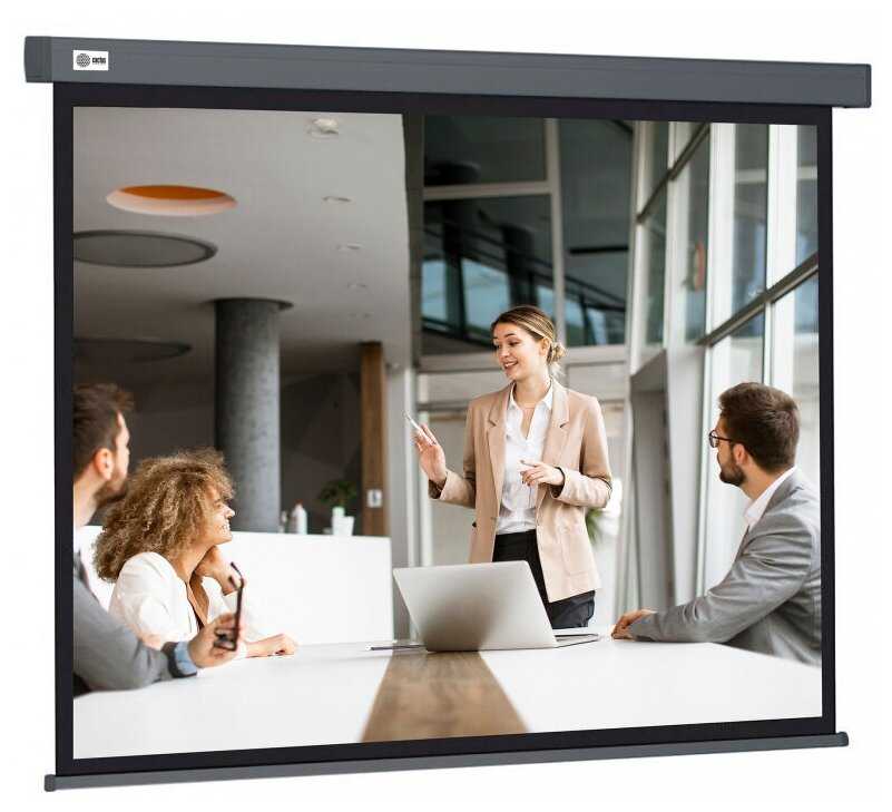 Рулонный cactus Wallscreen (CS-PSW-149X265-SG) фотография 1