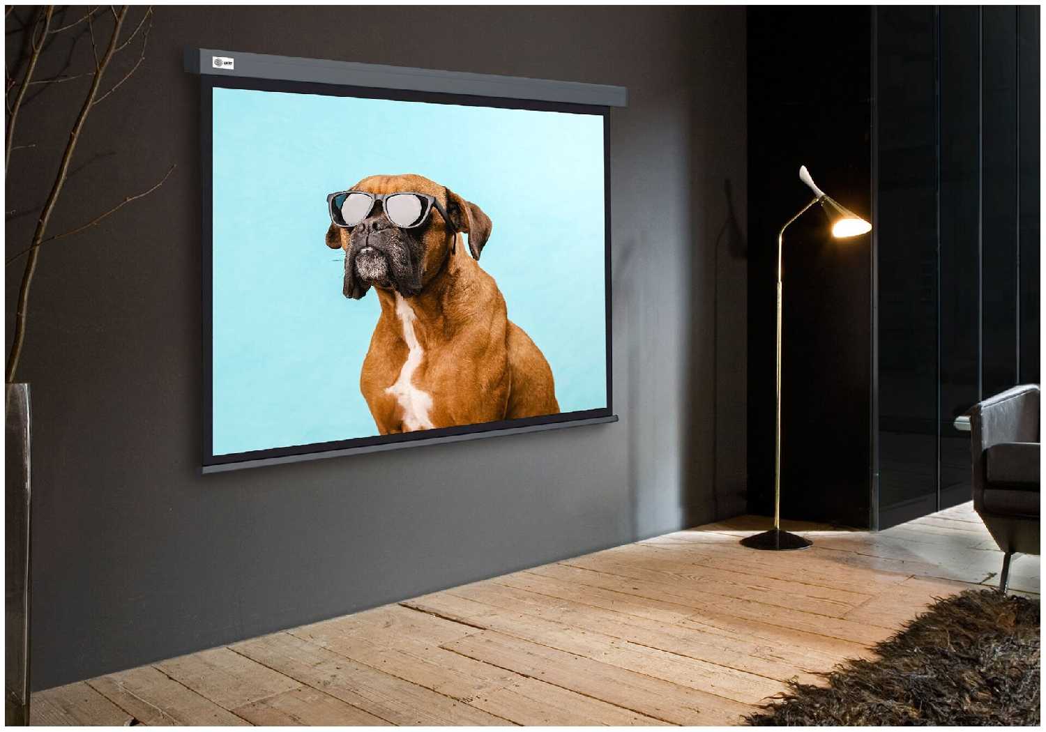 Рулонный cactus Wallscreen (CS-PSW-149X265-SG) фотография 2