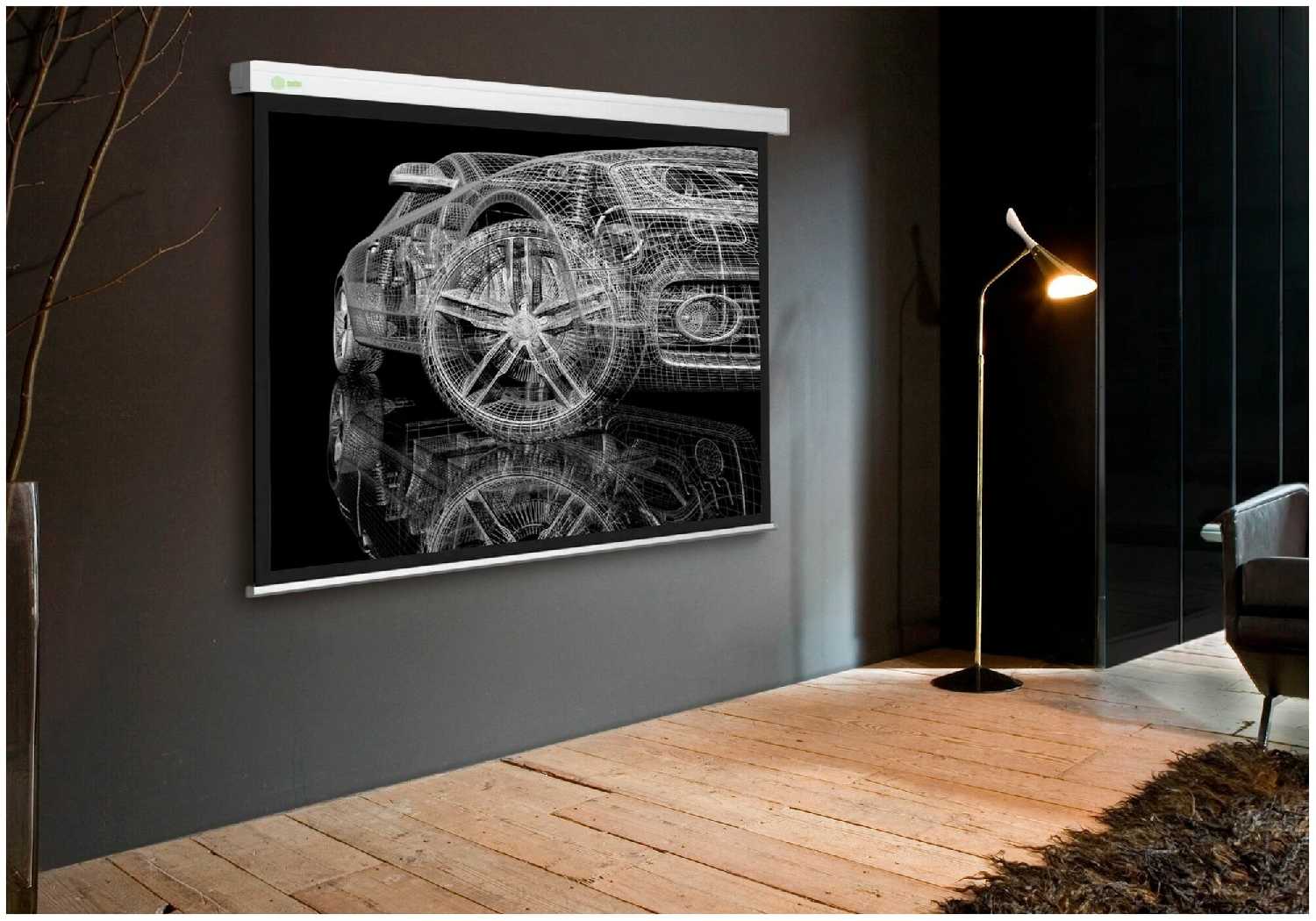 Рулонный cactus Motoscreen (CS-PSM-150x150) фотография 2