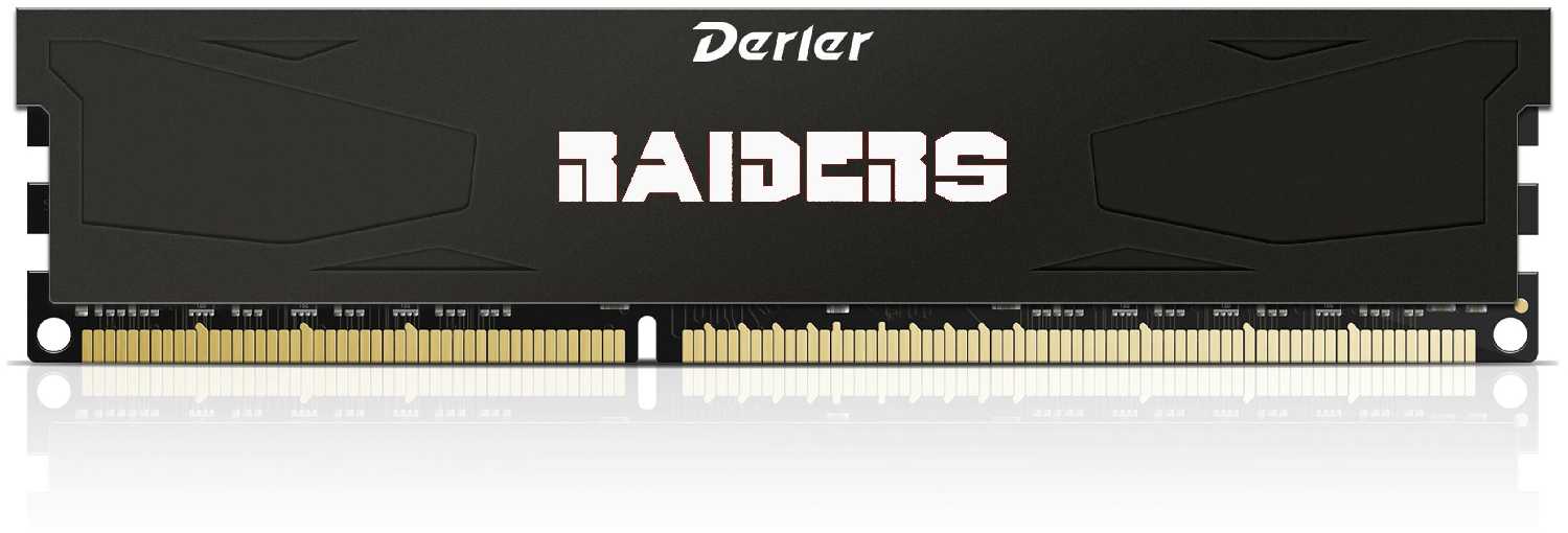 Оперативная память Derlar Saint Warrior 8GB 2666MHz CL19 (8GB-2666-HSW)