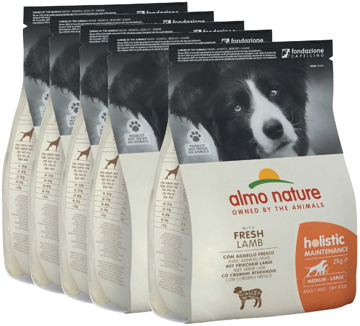 Корм для собак Almo Nature Holistic (ягненок, с рисом)