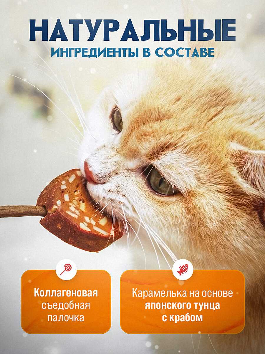 Лакомство для кошек Japan Premium Pet Тунцовая карамелька на палочке с крабом фотография 1