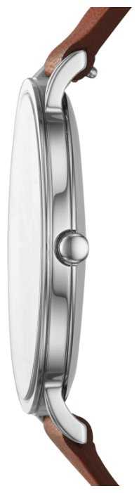 Наручные часы SKAGEN SKW6446 фотография 2