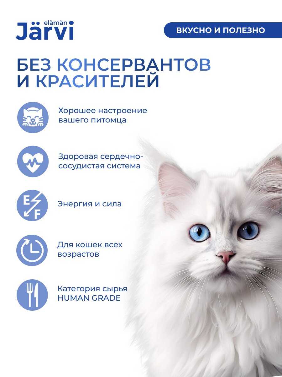 Jarvi мясной паштет с уткой (100 г) фотография 1