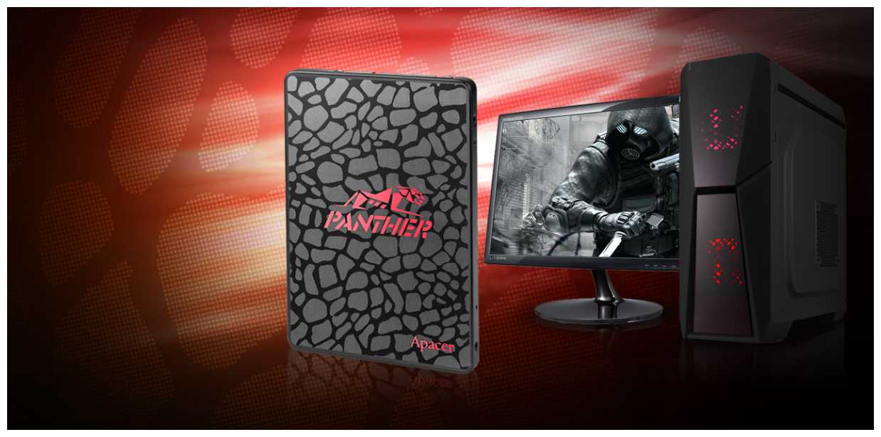 Твердотельный накопитель Apacer PANTHER SATA (95.DB2G0.P100C) фотография 4