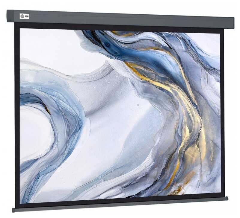 Рулонный cactus Wallscreen (CS-PSW-127X127-SG) фотография 7