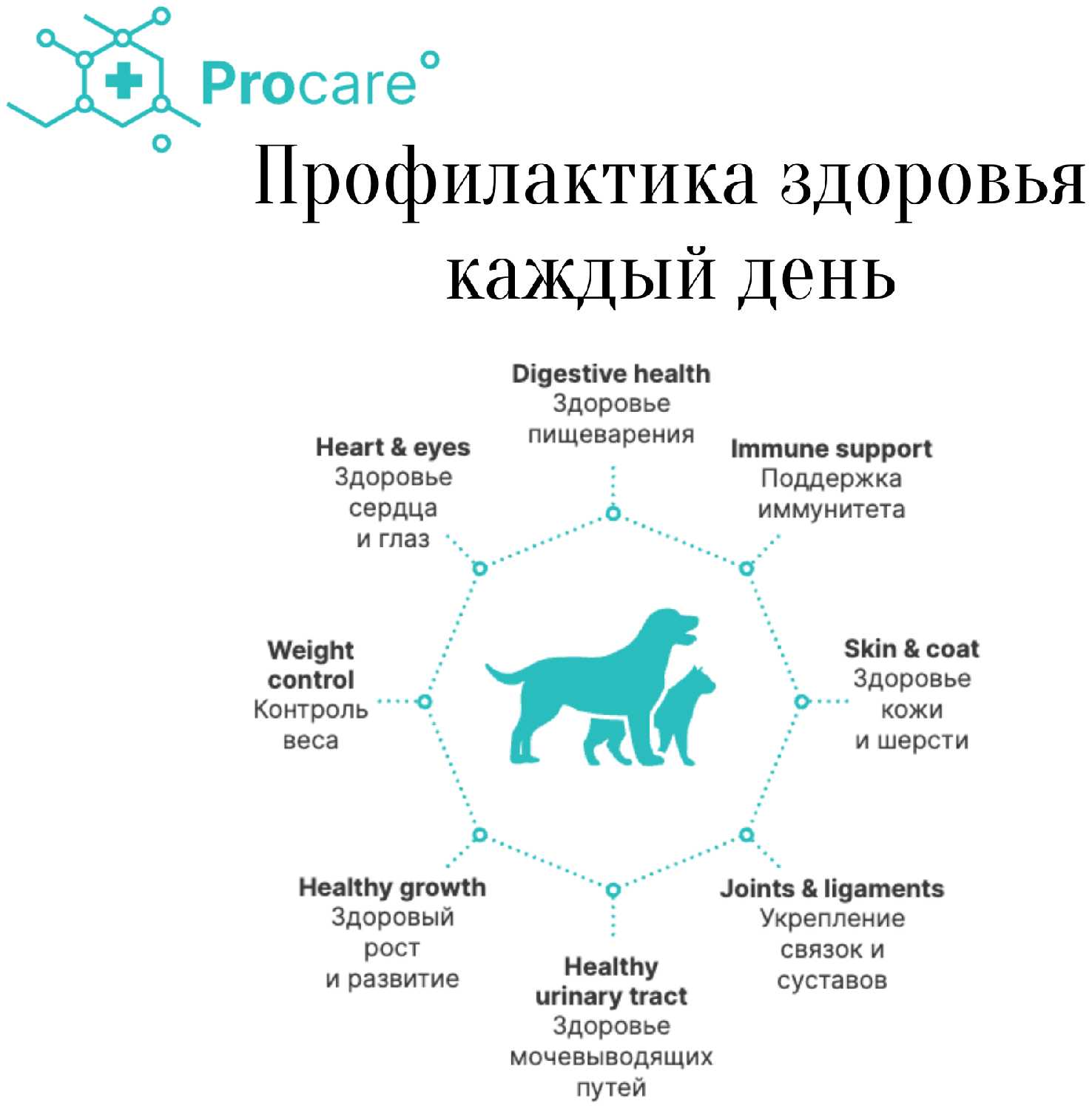 Корм Premier при чувствительном пищеварении фотография 3