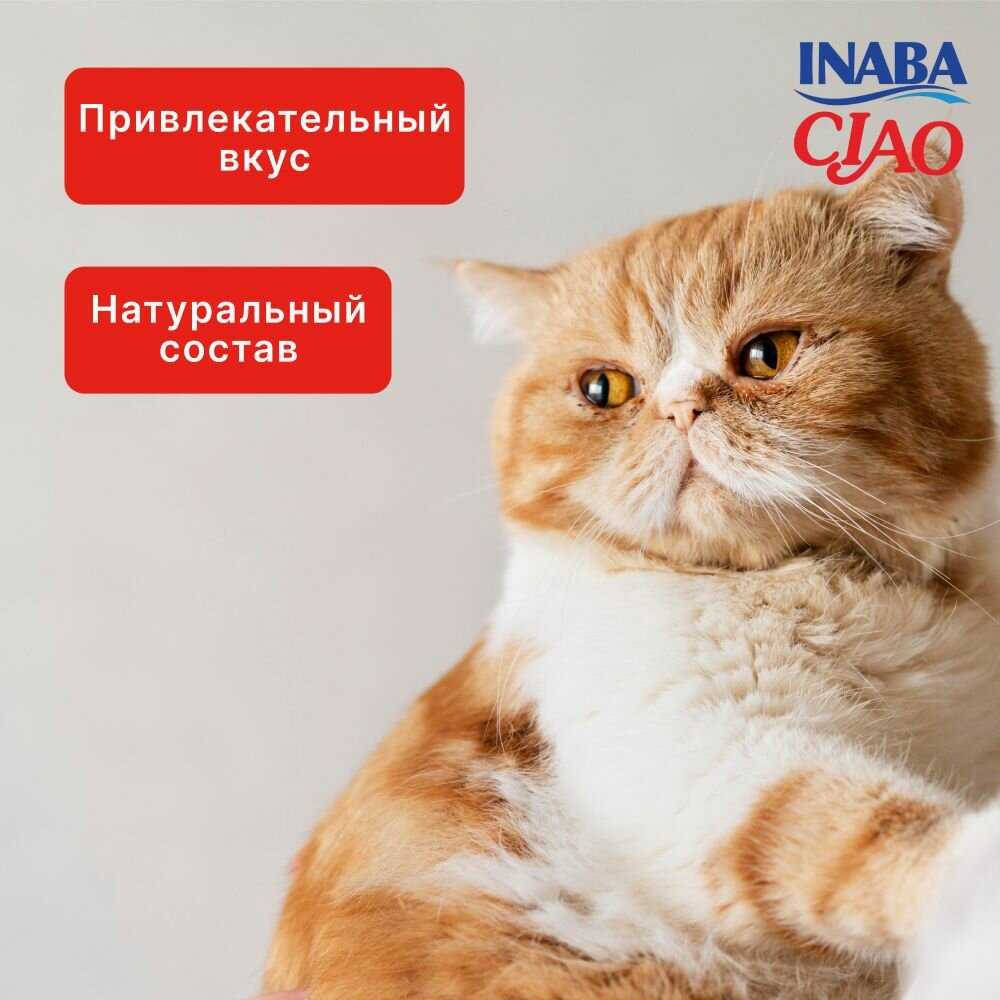 Корм для кошек Inaba Тунец магуро и тунец кацуо с куриным филе в желе фотография 8
