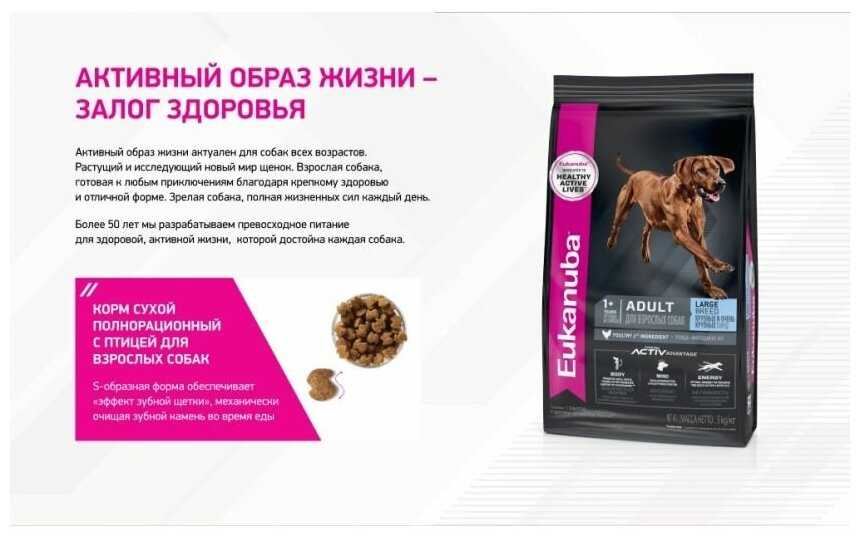 Корм для взрослых собак Eukanuba с курицей фотография 14