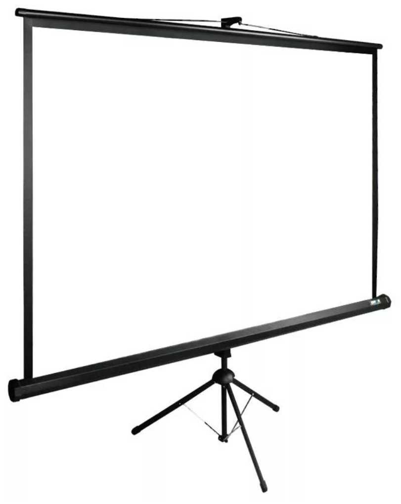 Рулонный cactus TriExpert (CS-PSTE) фотография 4