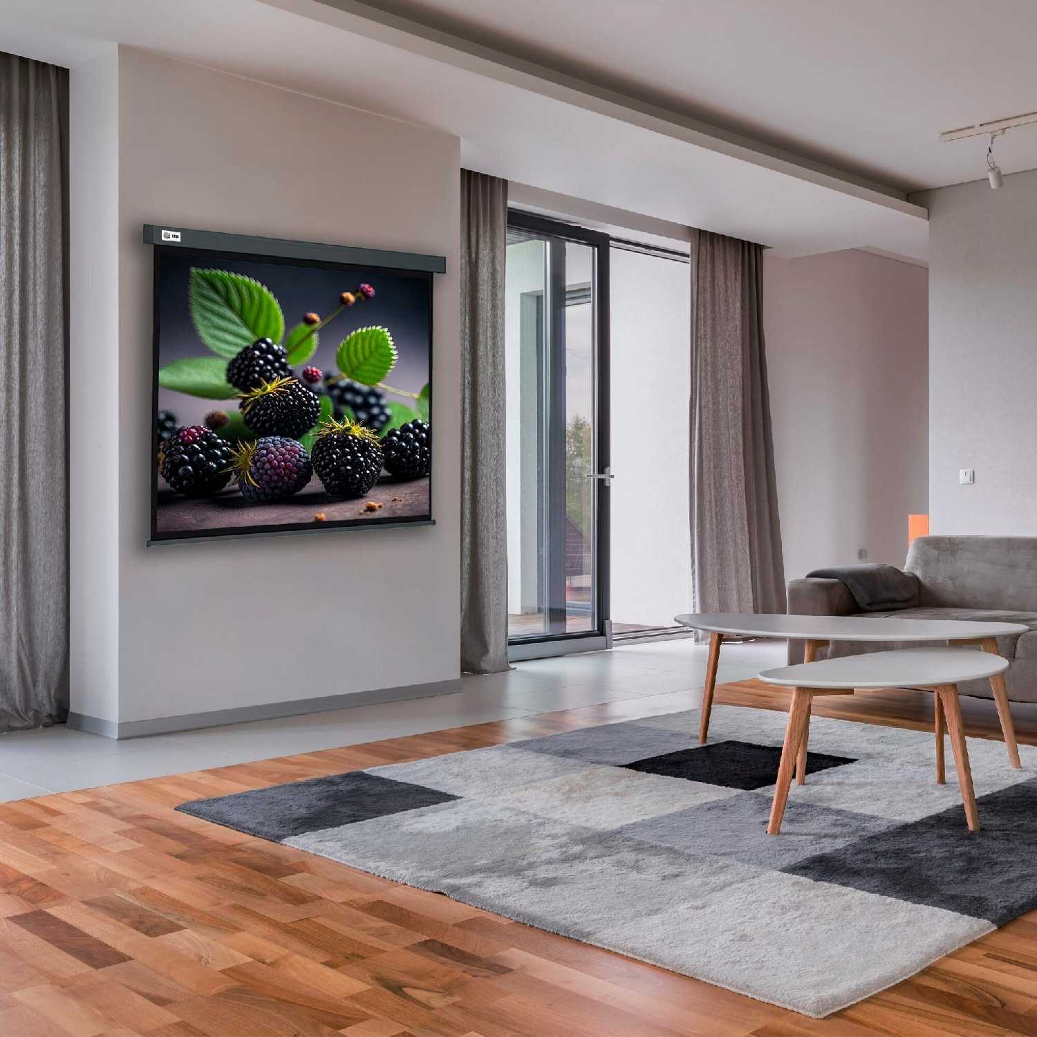 Рулонный cactus Wallscreen (CS-PSW-127X127-SG) фотография 4