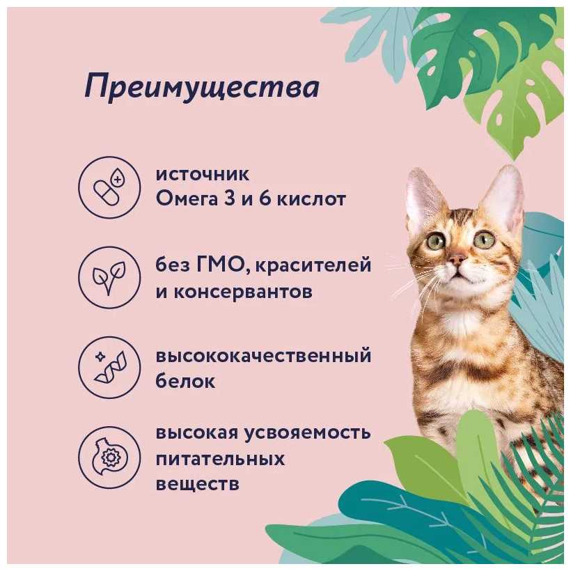 Сухой корм для кошек Сухой корм с ягненком и грушей фотография 18