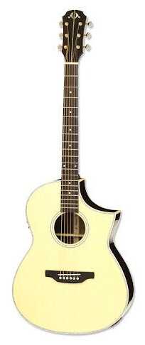 Электроакустика ARIA MSG-02CE N