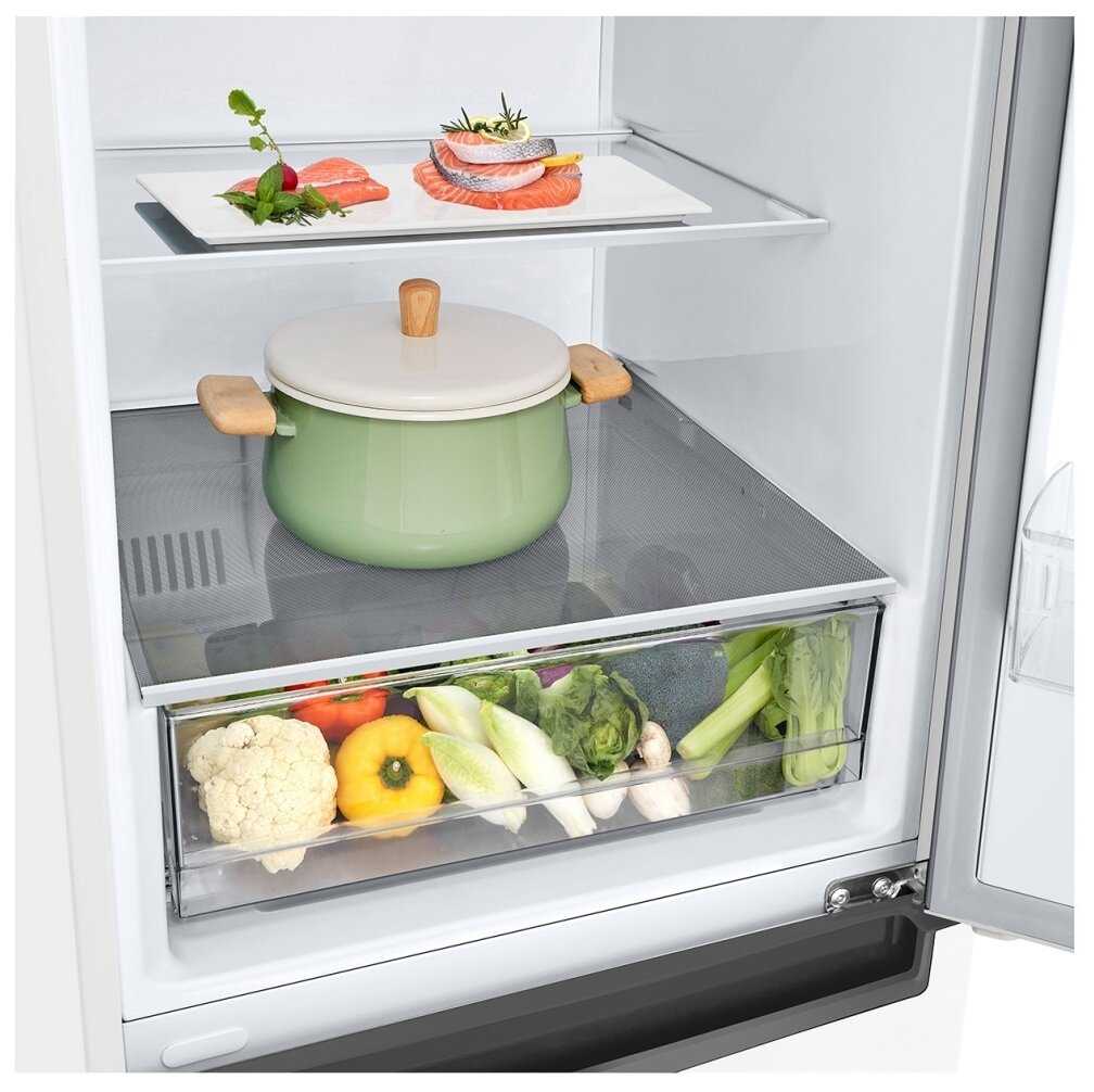 Холодильник LG GA-B509DQXL фотография 10