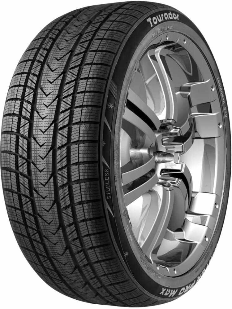 Шина TOURADOR Winter Pro Max (215/45 R17 91V XL) фотография 1