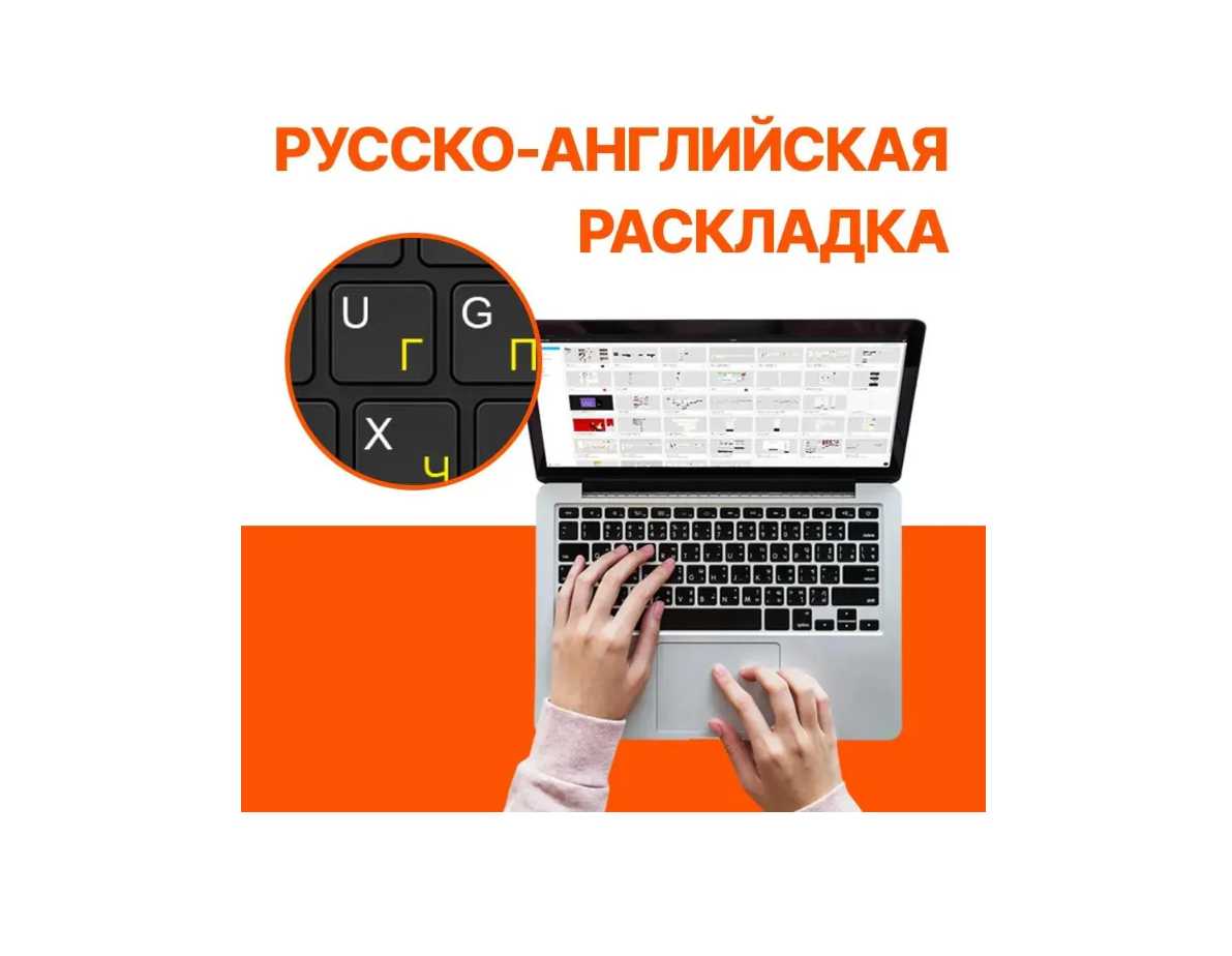 Ноутбук ASUS VivoBook Go 15 (Intel Core i3-N305) фотография 4