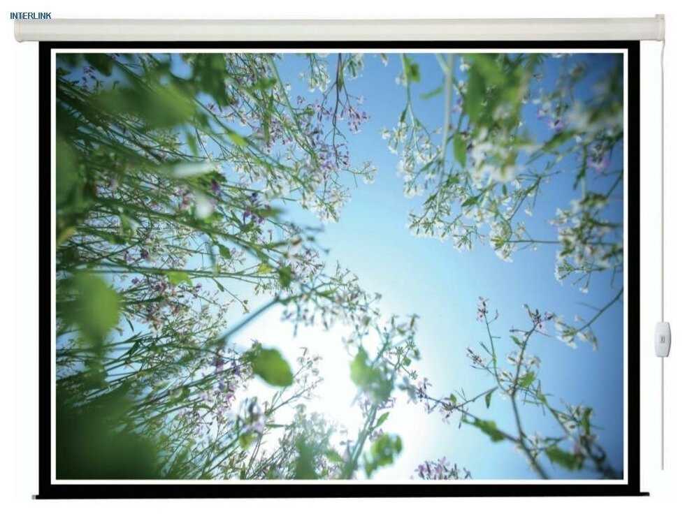 Экран для проектора Lumien Eco Control (LEC-100104)