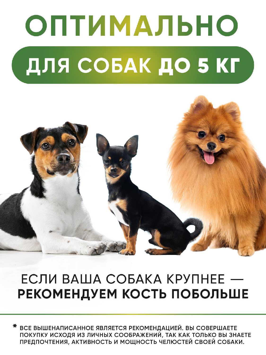 Кости для собак Баранья ножка фотография 1