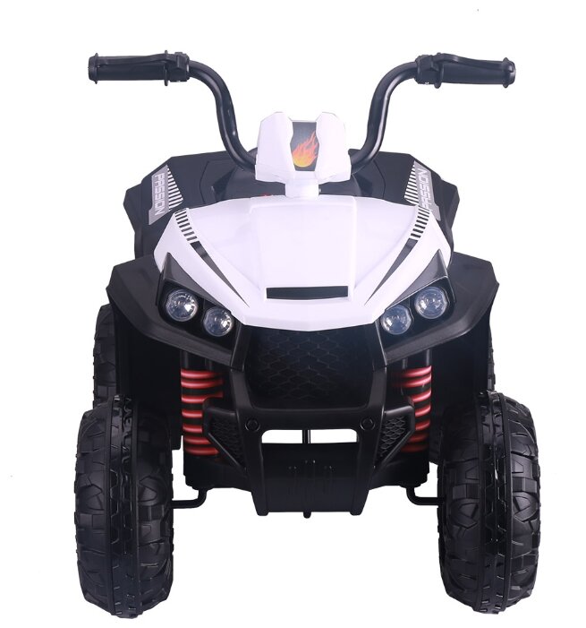 Zhehua Квадроцикл S601 фотография 6