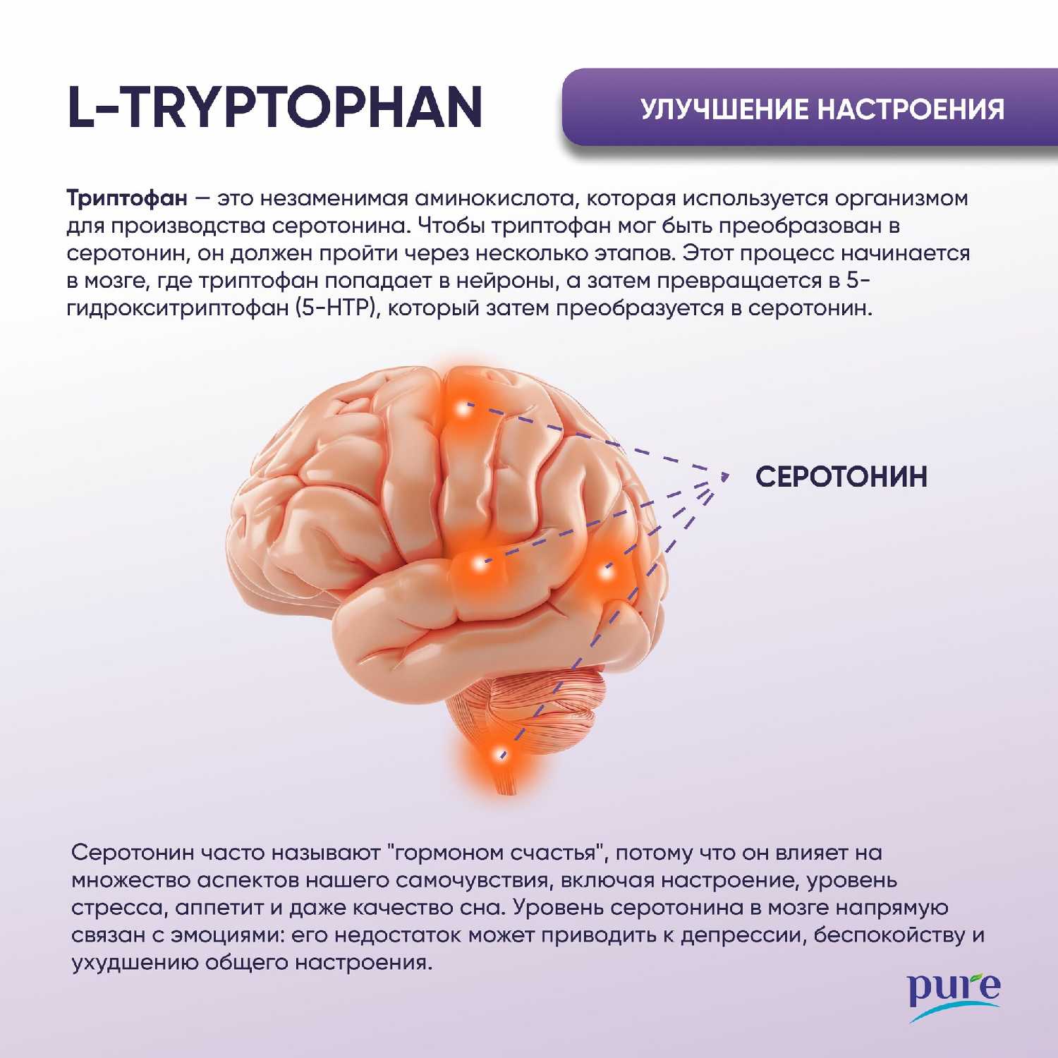 Аминокислота L-триптофан PURE (500мг) фотография 7