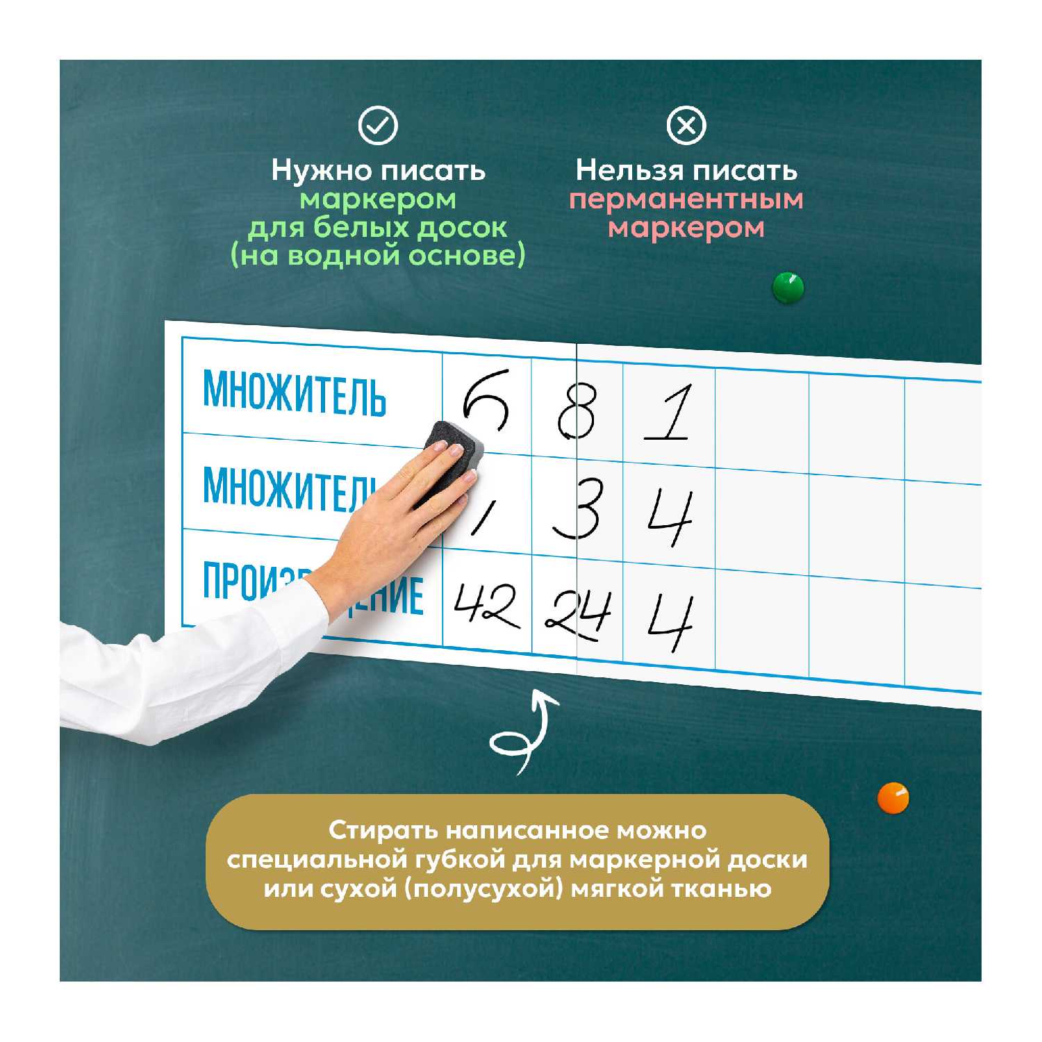 Магнитные таблички Месяцы учебного года фотография 34