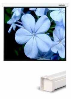 Рулонный Lumien Master Picture (LMP-100109) фотография 10