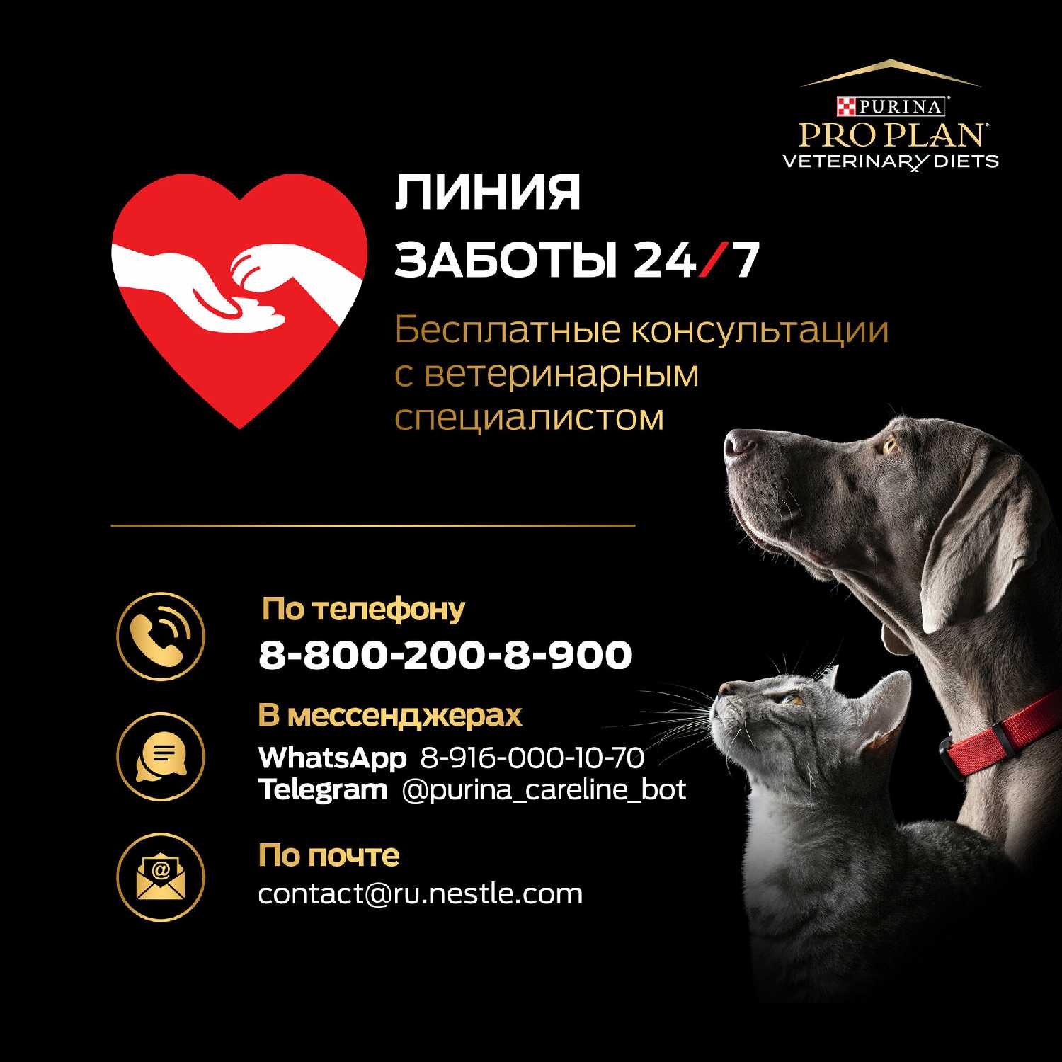 Корм для кошек Pro Plan Veterinary Diets EN ST/OX Gastrointestinal фотография 9