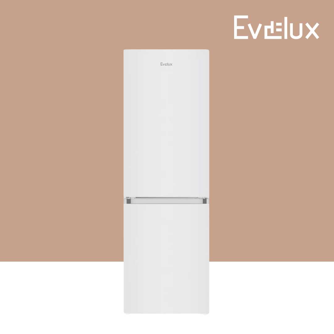 Холодильник Evelux FS 2201 фотография 9