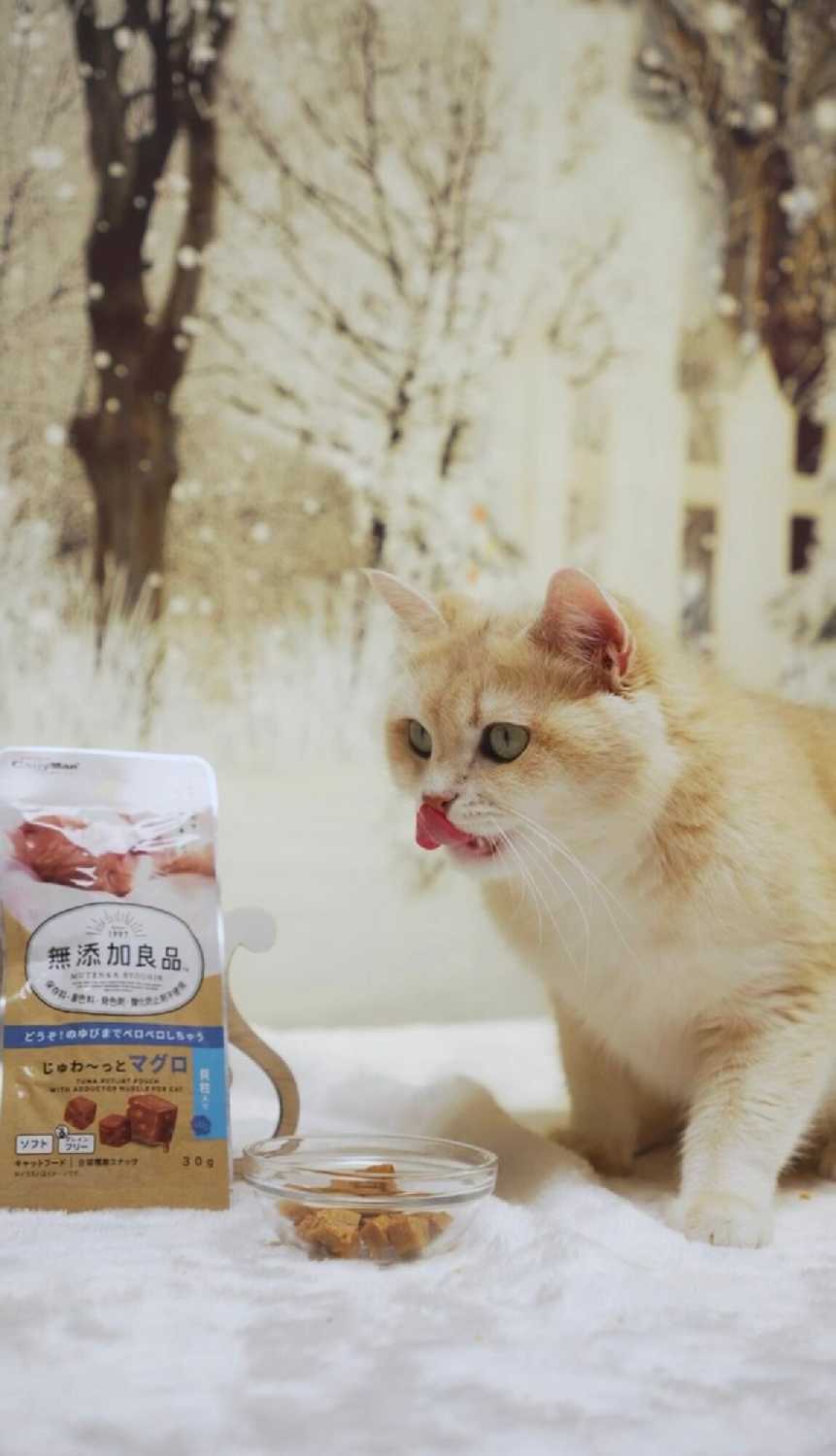 Лакомство для кошек CattyMan Конфетки-суфле фотография 31