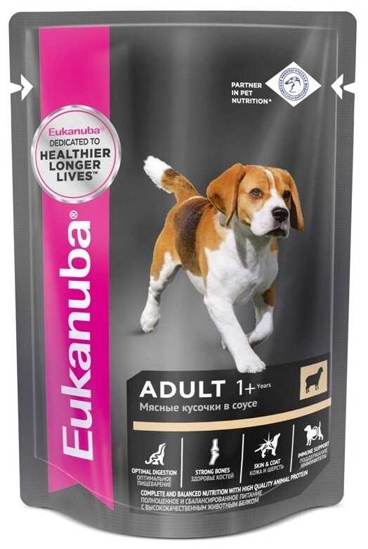 Корм для собак Eukanuba для здоровья кожи и шерсти фотография 6