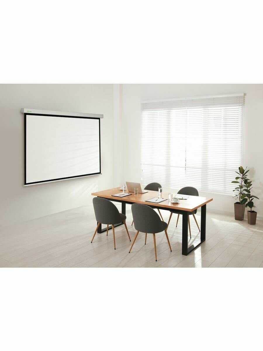 Рулонный cactus Wallscreen (CS-PSW-128x170) фотография 10