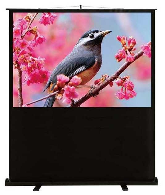 Экран Cactus 90x120см FloorExpert CS-PSFLE-120X90 4:3 напольный рулонный фотография 1