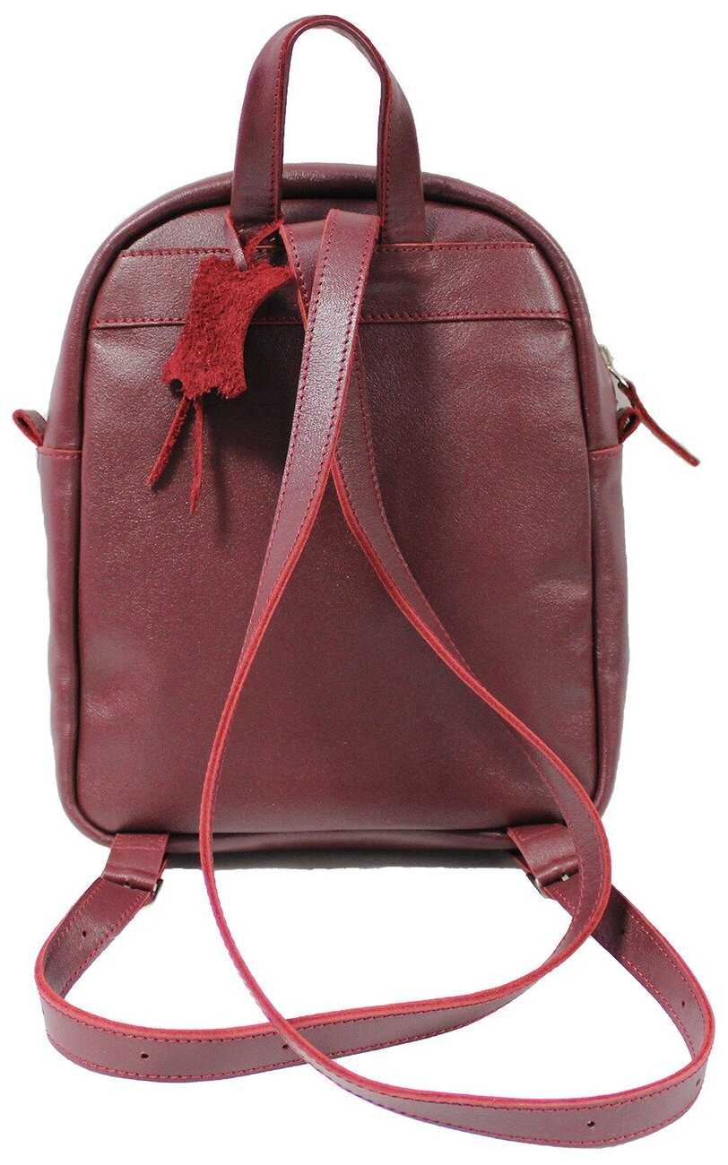 Рюкзак Andromeda 200 кожа фотография 1