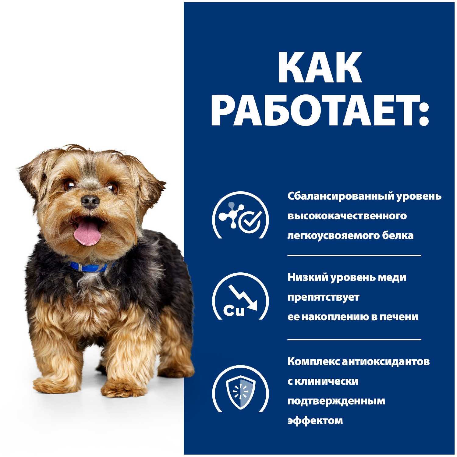 Корм для собак Hill's Prescription Diet l/d Liver Care (canned) фотография 10