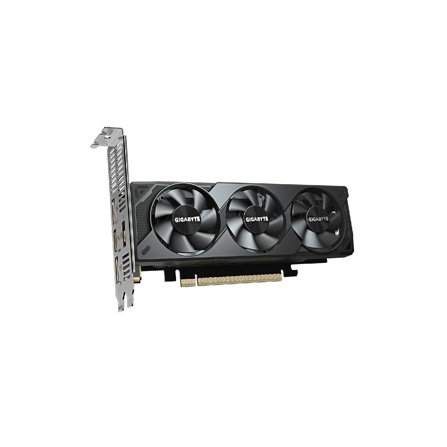 Видеокарта GIGABYTE GeForce RTX 5060 OC Low Profile 8G [GV-N5060OC-8GL] фотография 1