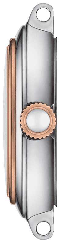 Наручные часы Tissot Bellissima small lady T126.010.22.013.01 фотография 2