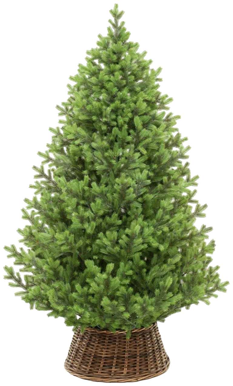 Ель искусственная ЕлкиТорг Торжественная фотография 3