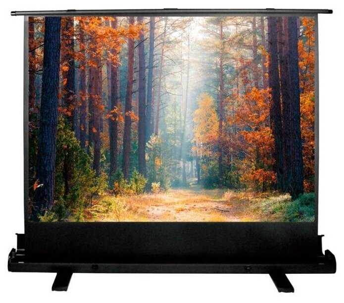 Экран Cactus 135x180см FloorExpert CS-PSFLE-180X135 4:3 напольный рулонный фотография 11