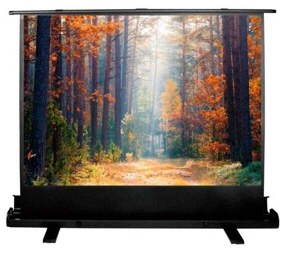 Экран Cactus 135x180см FloorExpert CS-PSFLE-180X135 4:3 напольный рулонный фотография 12