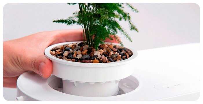 10 л Xiaomi Geometry Fish Tank Aquaponics Ecosystem (HF-JHYG001) фотография 7