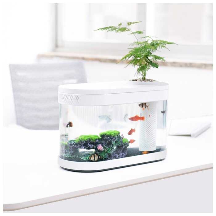10 л Xiaomi Geometry Fish Tank Aquaponics Ecosystem (HF-JHYG001) фотография 8