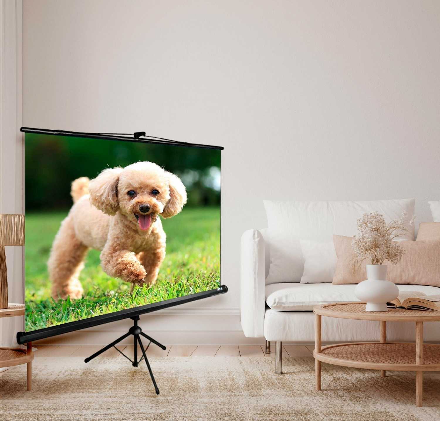 Рулонный cactus TriExpert (CS-PSTE-180х135) фотография 4