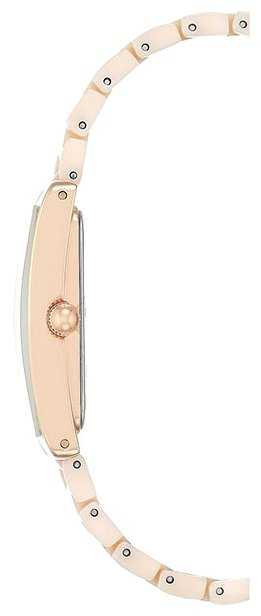 Наручные часы ANNE KLEIN 2952LPRG фотография 1