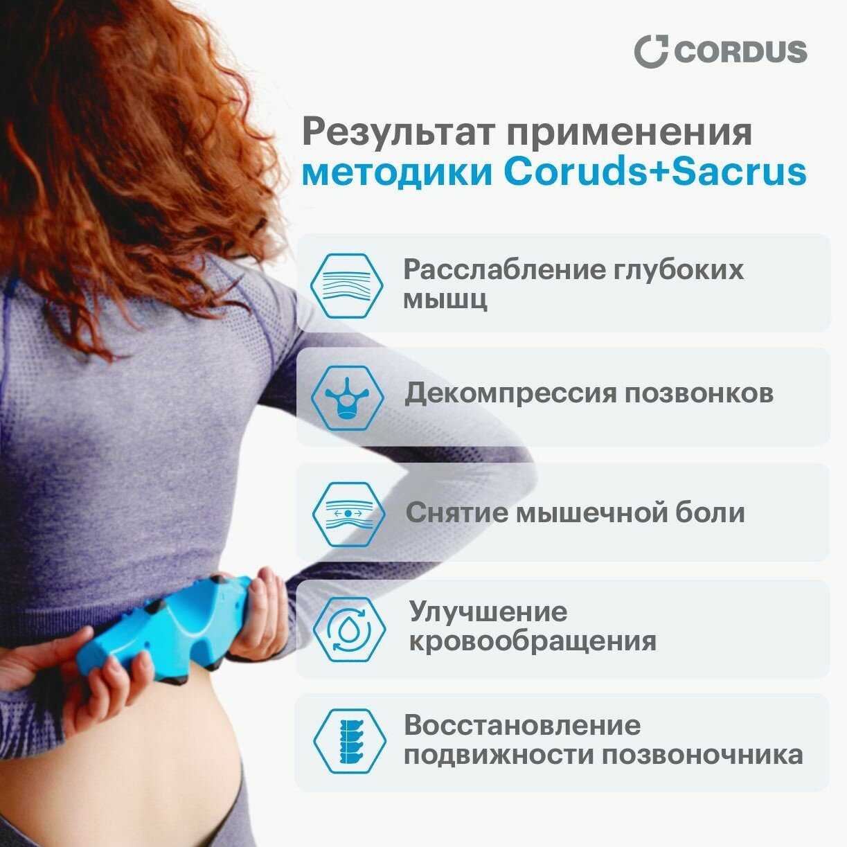 Cordus Plus комплект массажеров для спины шеи и поясницы фотография 4