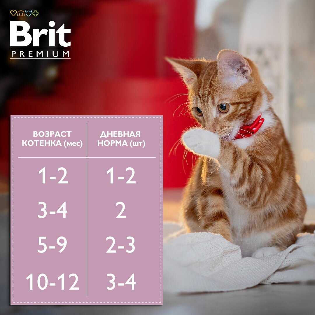 Корм Brit Premium (кусочки в соусе) фотография 10