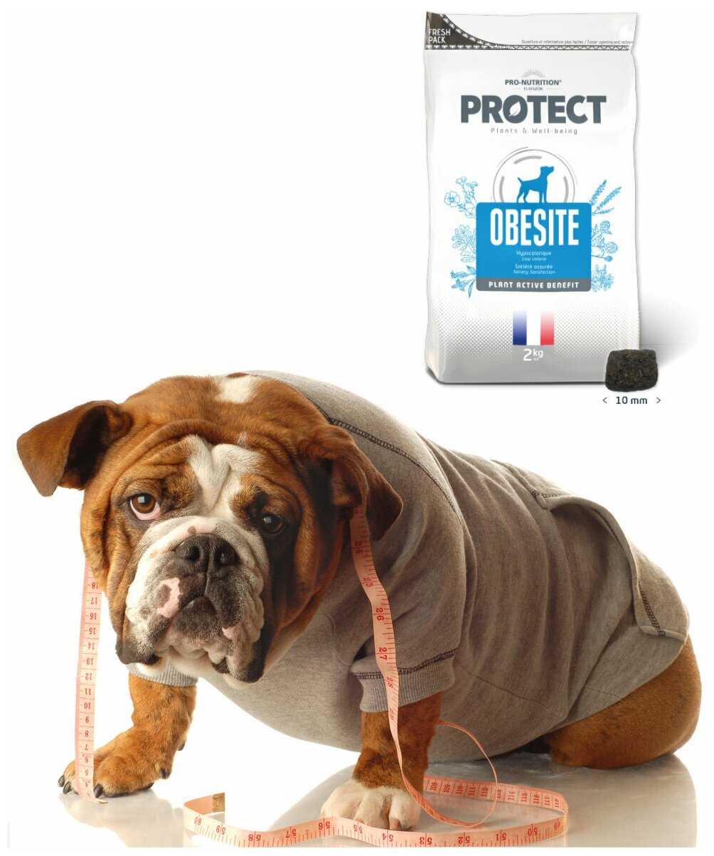 Сухой корм для собак Pro-Nutrition Flatazor Protect Obesite фотография 5