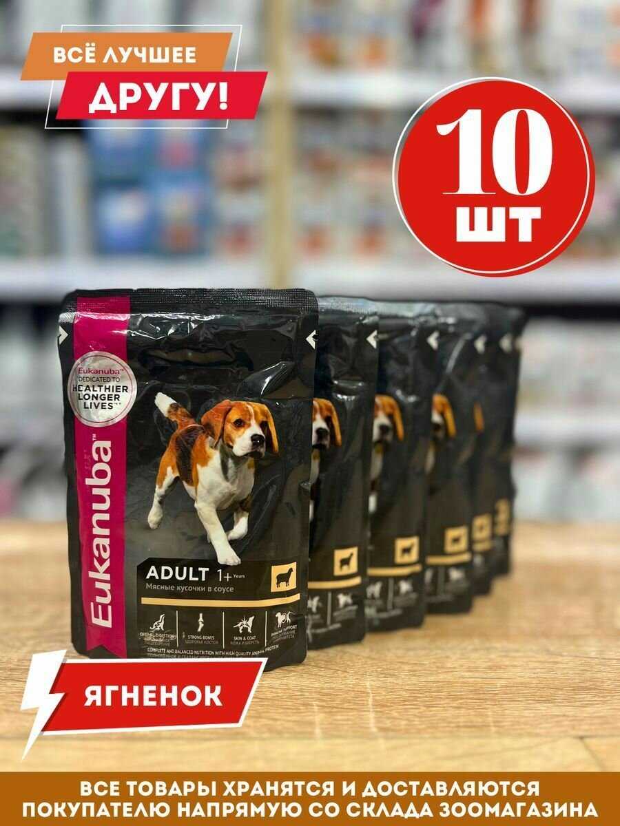 Корм для щенков Eukanuba для здоровья кожи и шерсти фотография 7