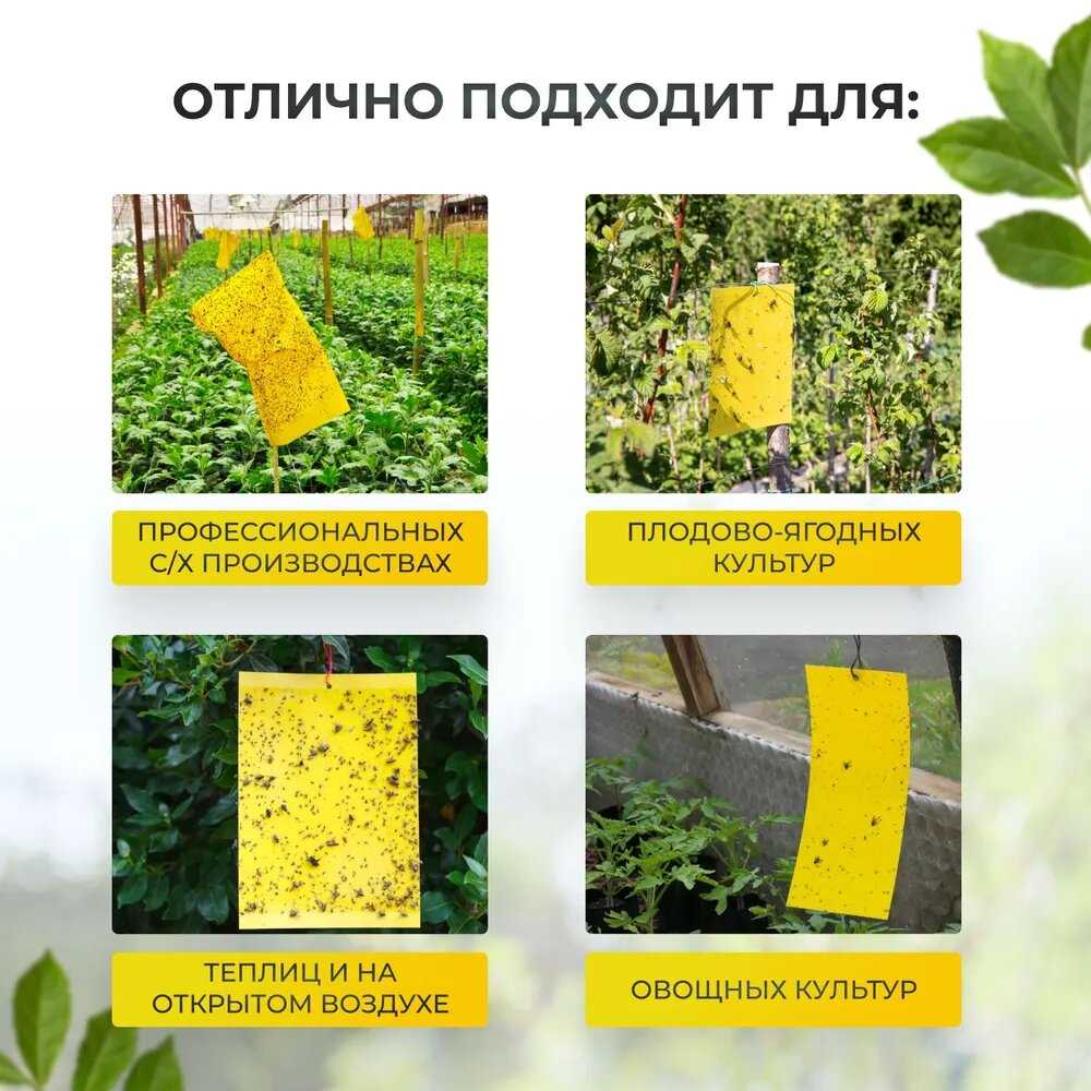Средство от тараканов Средство от тараканов (5 шт) фотография 8