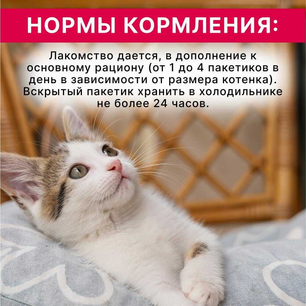 Лакомство-пюре для кошек Inaba Ciao Churu Куриное филе и креветка фотография 6